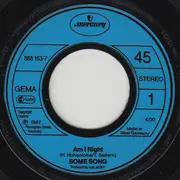 7inch Vinyl Single - Some Song - Am I Right