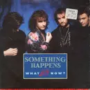 7inch Vinyl Single - Something Happens - What Now?