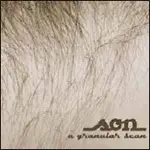 SON - A GRANULAR SCAN