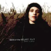 Son Of The Velvet Rat - Loss & Love