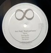 Double LP - Sonic Youth - Daydream Nation - + Poster