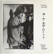 Sonic Youth - Hold That Tiger