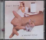 Sonic Youth - A Thousand Leaves