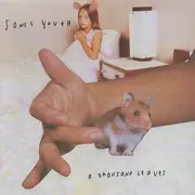 CD - Sonic Youth - A Thousand Leaves