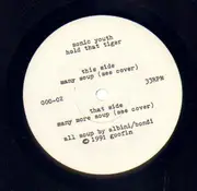 LP - Sonic Youth - Hold That Tiger