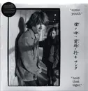 Double LP - Sonic Youth - Hold That Tiger