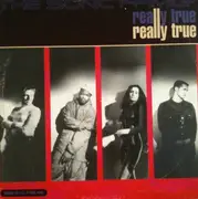 12inch Vinyl Single - Sonic Family - Really True