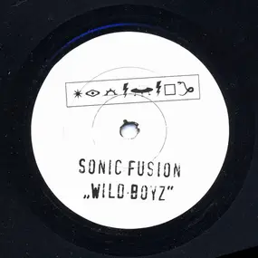 Sonic Fusion - Wild Boyz