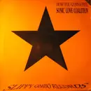12inch Vinyl Single - Sonic Love Coalition - How You Gonna Feel