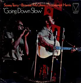 Sonny Terry - Going Down Slow
