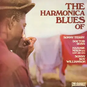 Sonny Terry - The Harmonica Blues Of