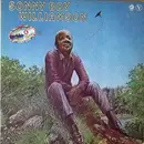 Double LP - Sonny Boy Williamson - Chicago Golden Years 'Double Album' 4 - Gatefold