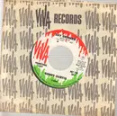 7inch Vinyl Single - Sonny Curtis - Day Drinker / Atlanta Georgia Stray - ORIGINAL US