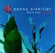 Sonny Sixkiller - This Is Your Heaven