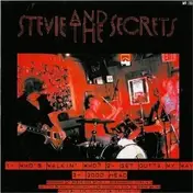 Sonny Vincent - Sonny Vincent / Stevie And The Secrets