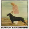 CD - Son Of Crackpipe - The Benevolence Of Dogs And Other Evolutionary Accidents