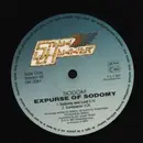 12inch Vinyl Single - Sodom - Expurse Of Sodomy - Original, No Cover