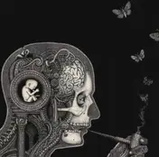 Soen - Cognitive