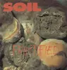 LP - Soil - Fructified