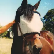 Soltero - 1943