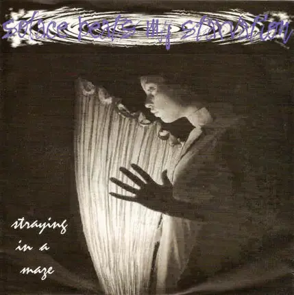 Solace Beats My Starvation - Straying In A Maze