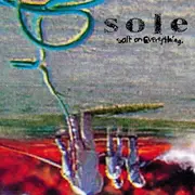 12inch Vinyl Single - Sole - Salt On Everything - INCL. AN EXCL. TRACK FT. SAGE FRANCIS
