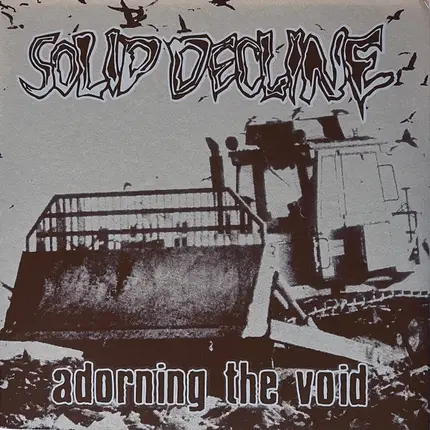 Solid Decline - Adorning The Void