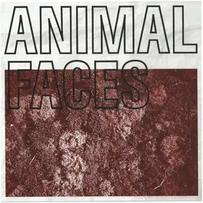 SOLIDS - Animal Faces / Solids