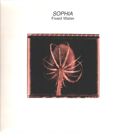 Sophia - Fixed Water
