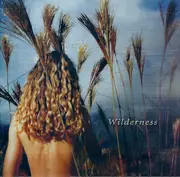 CD - Sophie B. Hawkins - Wilderness