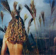 Sophie B. Hawkins - Wilderness