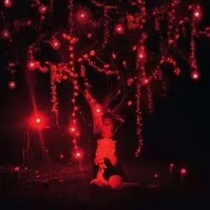 Sophie Hunger - The Danger of Light (+CD)