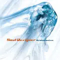 Soul Designer - Evolutionism Pt.1