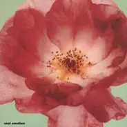 Soul Emotion - Soul Emotion