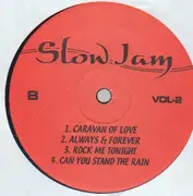 12inch Vinyl Single - Soul Funk Sampler - Slow Jam Vol. 2h