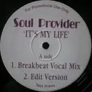 12inch Vinyl Single - Soul Provider - It's My Life