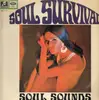 LP - Soul Survival - Soul Sounds - RARE SOUL FUNK