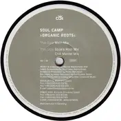 Soul Camp - Organic Roots