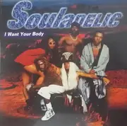 12inch Vinyl Single - Souladelic - I Want Your Body