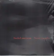 Souled American - Notes Campfire