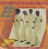 Soulful Dynamics - Shake Shake Shake