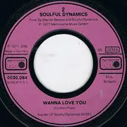 7inch Vinyl Single - Soulful Dynamics - Shake Shake Shake