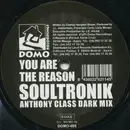 12inch Vinyl Single - Soultronik - You Are The Reason