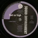 12inch Vinyl Single - Sound Environment - Feel So High