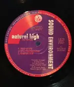 Sound Environment - Natural High (The Remixes)