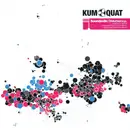 12inch Vinyl Single - Soundexile - Disturbed E.P. - EP