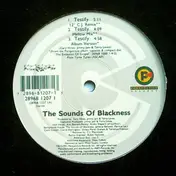 Sounds of Blackness - Testify