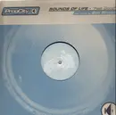 12'' - Sounds Of Life - Feel Good
