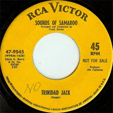 Sounds Of Samaroo - Mister Sandman