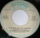 7inch Vinyl Single - Sounds Of Sunshine - The End Of The World